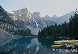 字母哥能重回CBA四强再成焦点(字母哥能重回cba四强再成焦点球员吗) 字母哥能重回CBA四强再成焦点(字母哥能重回cba四强再成焦点球员吗)